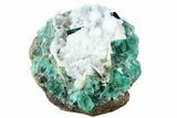 Aragonite Encrusted Fluorite Crystal Cluster - Rogerley Mine #184622-1